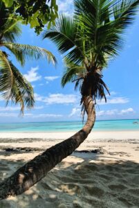 20221009 114008 Easy Resize.com