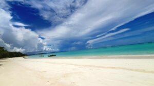 20230301 120546 Easy Resize.com