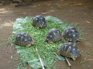 DSC03104 Easy Resize.com