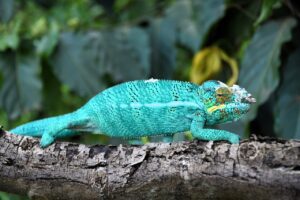 DSC 3797 Easy Resize.com