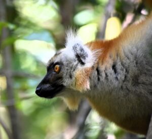 DSC 3824 Easy Resize.com