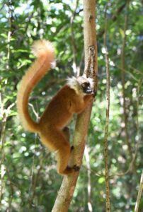 DSC 3828 Easy Resize.com