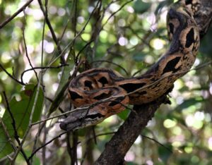 DSC 3835 Easy Resize.com