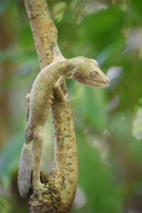 DSC 3847 Easy Resize.com