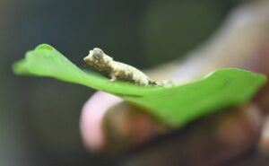 DSC 3855 Easy Resize.com