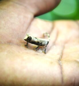 DSC 3861 Easy Resize.com