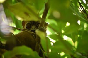 DSC 3865 Easy Resize.com