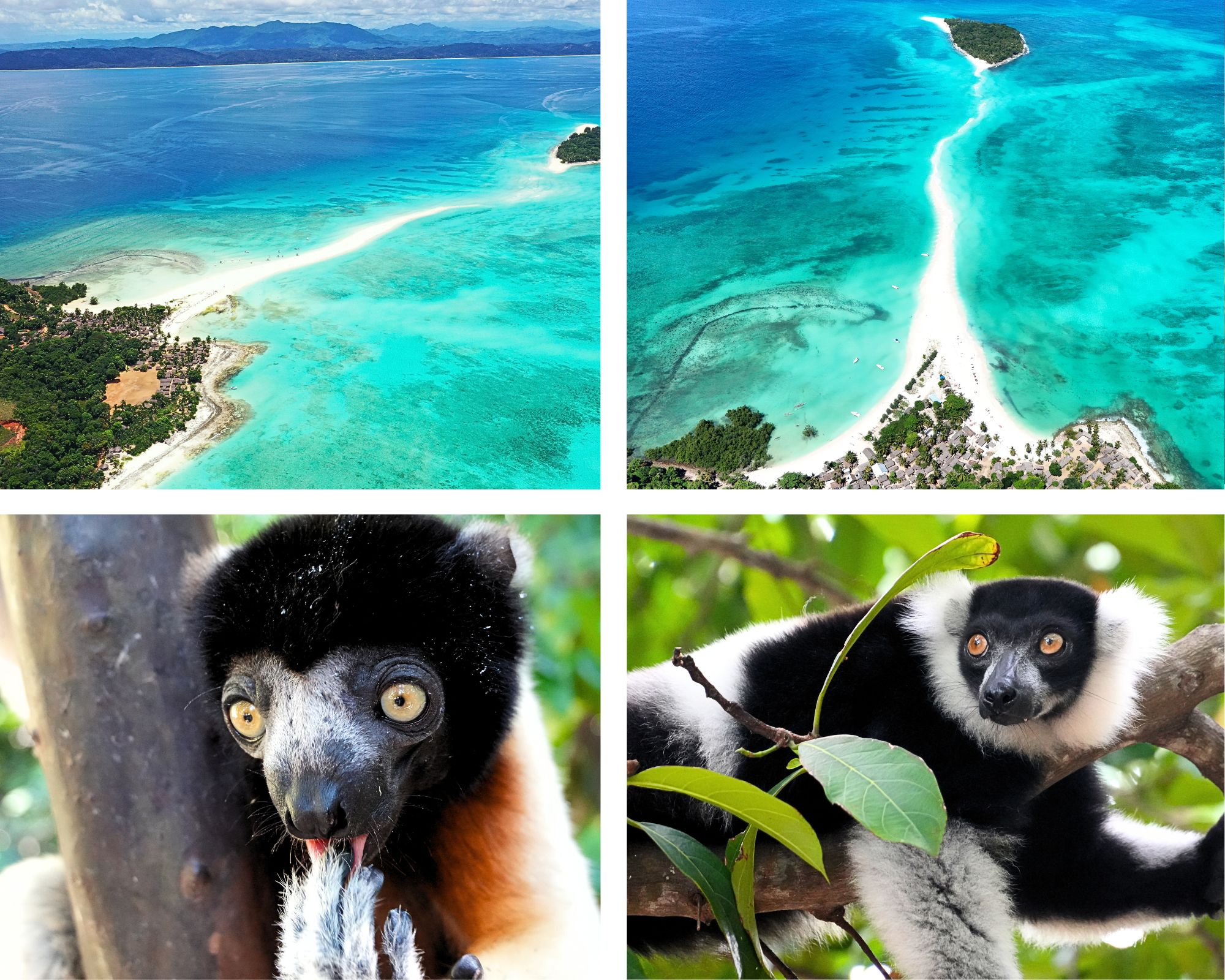 Rozowy i Szary Zaslubiny Odnowienie Kolaz Fotograficzny